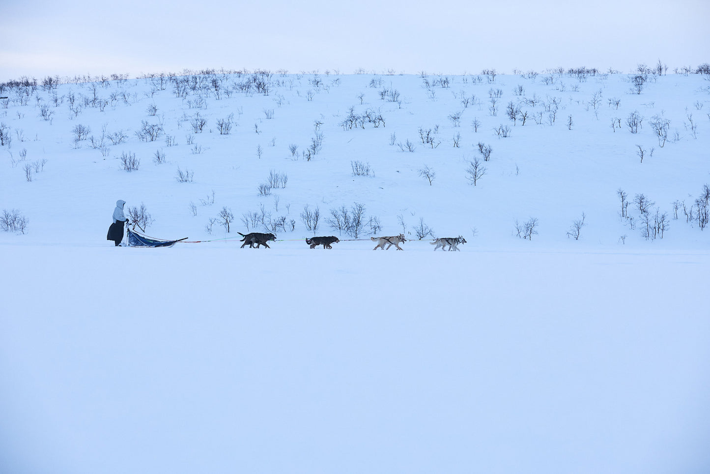 Tundra anojakka 2.0 (5)